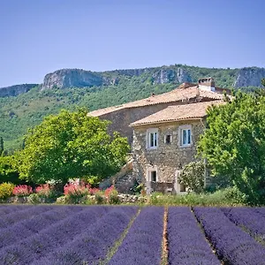  Couette-café Chez Bacchus France